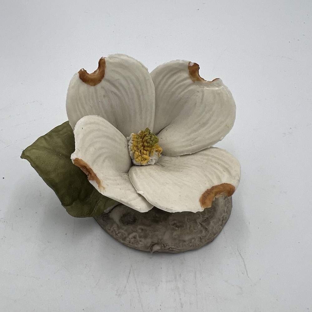 Vintage Napoleon Porcellane Capodimonte White Dogwood Flower Bloom Made in Italy
